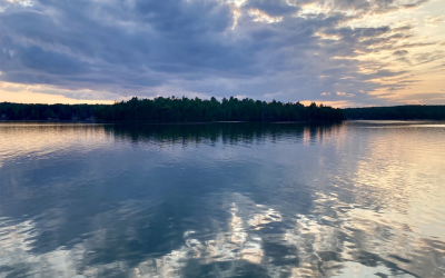 The Beauty of Patina — and an Abundant Perspective on Aging