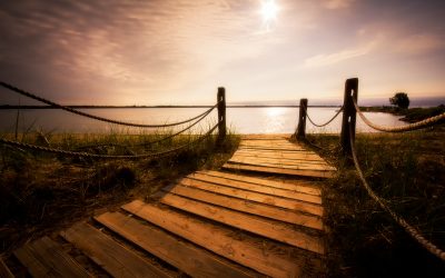 Joy in the Third Period